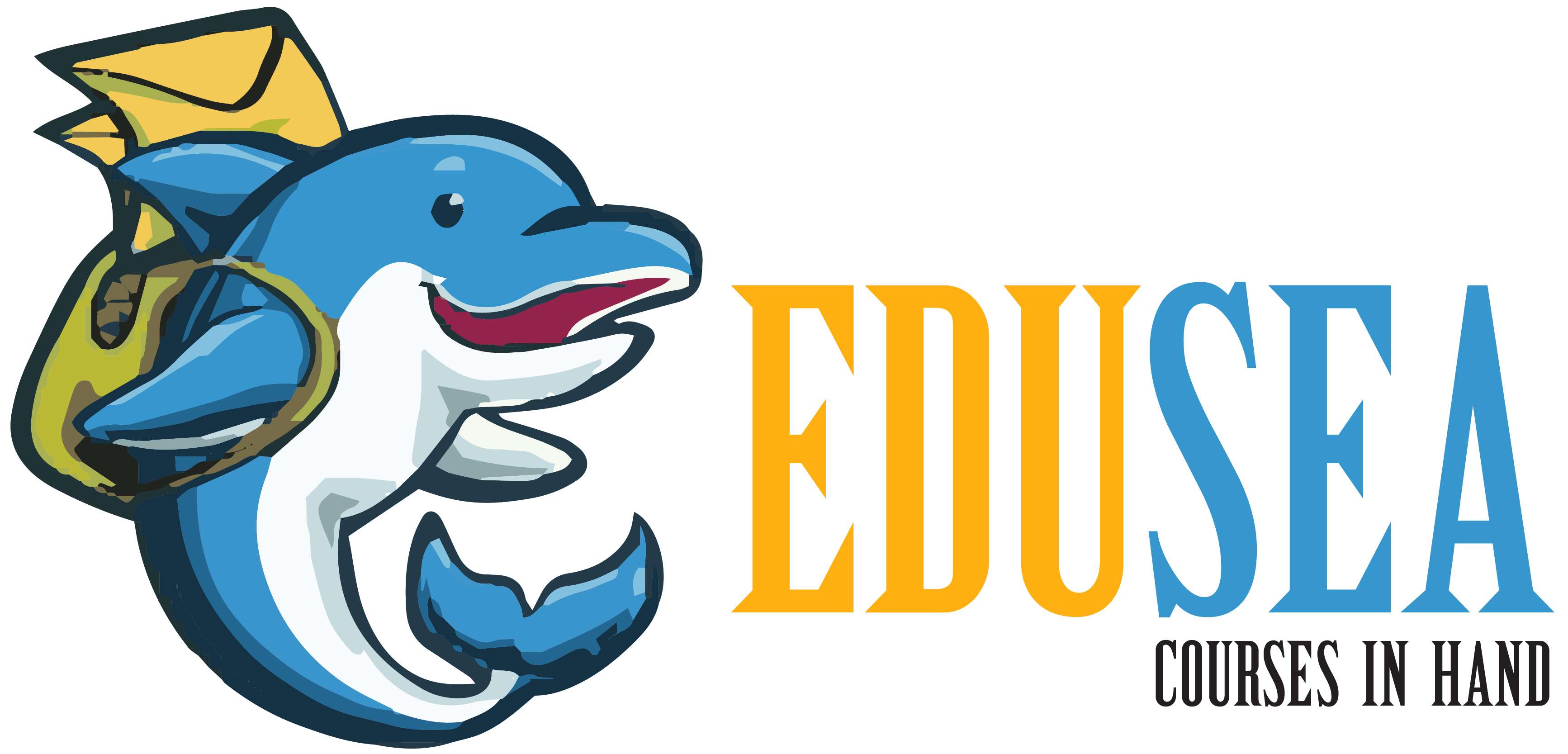  Online Programming Course